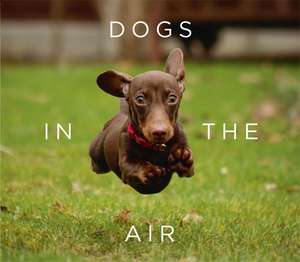 Dogs in the Air de Jack Bradley