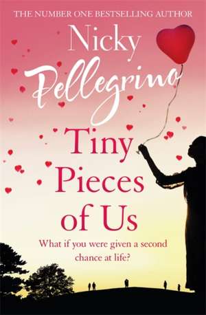 Tiny Pieces of Us de Nicky Pellegrino