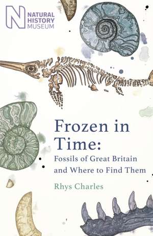 Frozen in Time de Rhys Charles