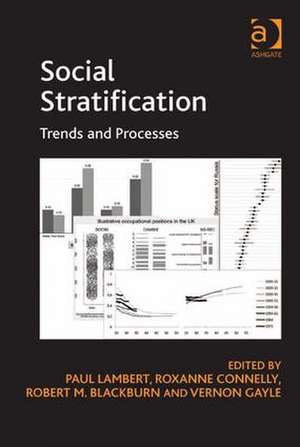 Social Stratification: Trends and Processes de Roxanne Connelly