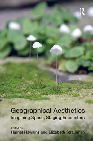 Geographical Aesthetics: Imagining Space, Staging Encounters de Elizabeth Straughan