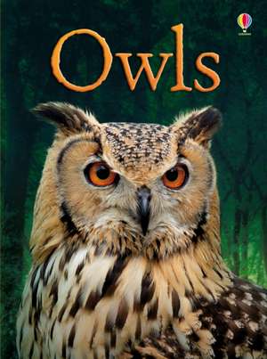 Owls de Emily Bone