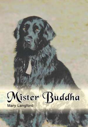 Mister Buddha de Mary Langford