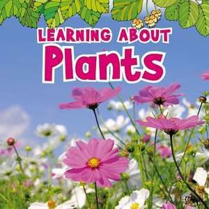 Learning about Plants de Catherine Veitch