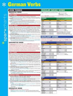 German Verbs de Sparknotes