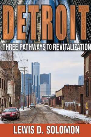 Detroit: Three Pathways to Revitalization de Lewis D. Solomon