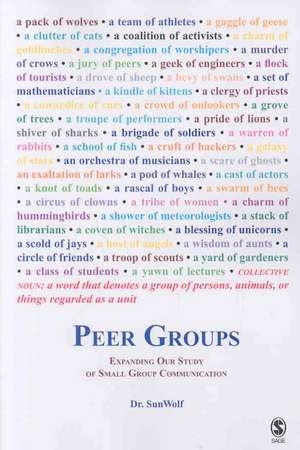 Peer Groups: Expanding Our Study of Small Group Communication de SunWolf