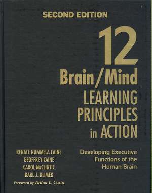 12 Brain/Mind Learning Principles in Action: Developing Executive Functions of the Human Brain de Renate Nummela Caine