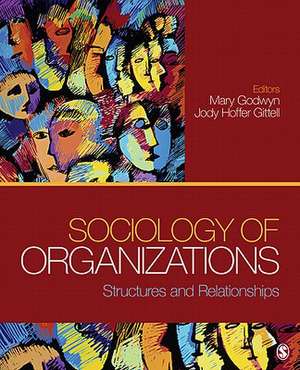 Sociology of Organizations: Structures and Relationships de Mary Ellen Godwyn