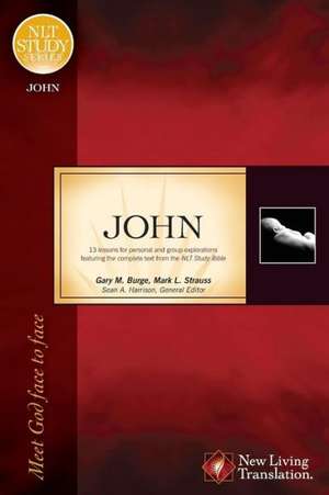 John: Meet God Face to Face de Gary M. Burge