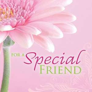 For a Special Friend de Struik Inspirational Gifts