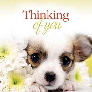 Thinking of You de Struik Inspirational Gifts