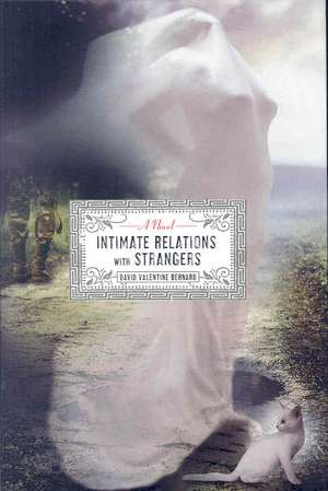 Intimate Relations with Strangers de David Valentine Bernard