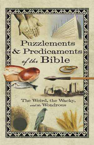 Puzzlements & Predicaments of the Bible: The Weird, the Wacky, and the Wondrous de Howard Books