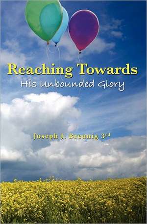 Reaching Towards His Unbounded Glory: Transforming Community and Governance de Joseph J. III Breunig