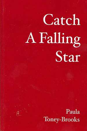 Catch a Falling Star: Angel on the Bayou de Paula Toney-Brooks