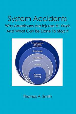 System Accidents: Why Americans Are Injured at Work and What Can Be Done to Stop It de Thomas A. Smith