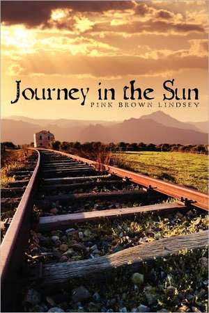 Journey in the Sun: Memoir of Corruption and Abuse of Power de Pink Brown Lindsey