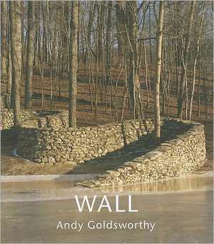 Wall at Storm King de Kenneth Baker