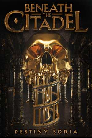 Beneath the Citadel de Destiny Soria