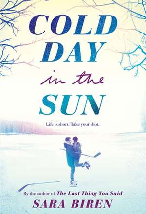 Cold Day in the Sun de Sara Biren