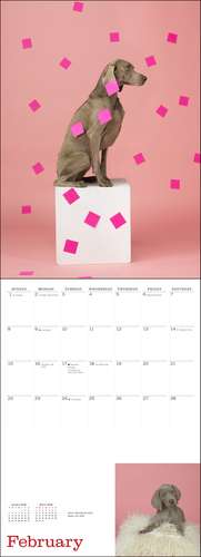 William Wegman Favorite Models 2026 Wall Calendar de William Wegman