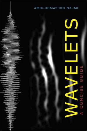 Wavelets – A Concise Guide de Amir–homayoon Najmi