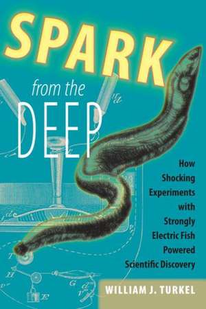 Spark from the Deep de William J Turkel