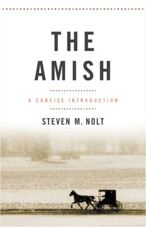 The Amish – A Concise Introduction de Steven M. Nolt