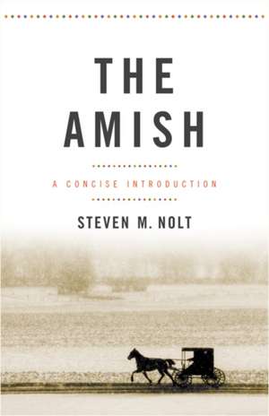 The Amish de Steven M Nolt