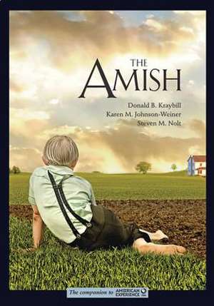 The Amish de Donald B. Kraybill