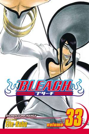 Bleach, Volume 33 de Tite Kubo