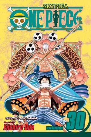 One Piece, Vol. 30 de Eiichiro Oda