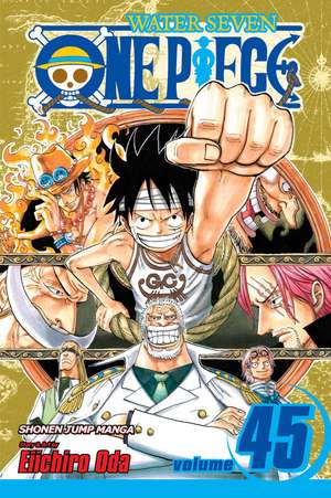 One Piece, Vol. 45 de Eiichiro Oda