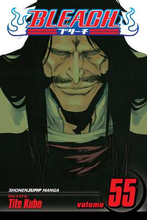 Bleach, Volume 55 de Tite Kubo