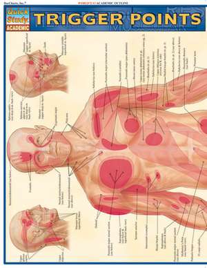 Trigger Points de Vincent Perez