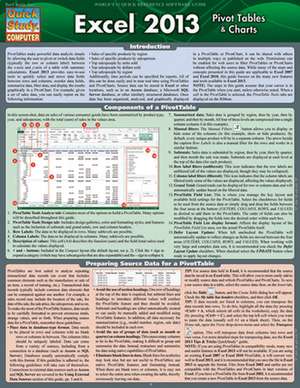 Excel 2013 Pivot Tables & Charts de BarCharts Inc