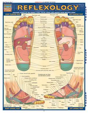 Reflexology de BarCharts Inc