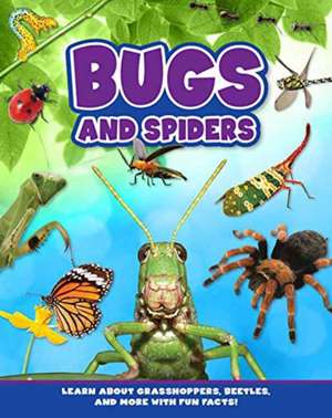 Bugs and Spiders de Flying Frog