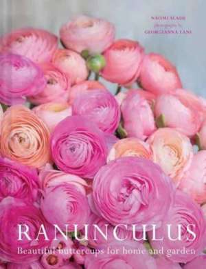 Lane, G: Ranuculus