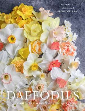 Daffodils de Naomi Slade