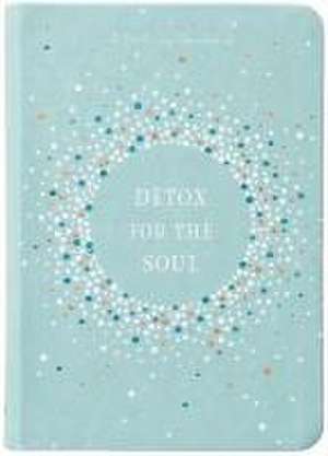 Detox for the Soul de Broadstreet Publishing Group Llc