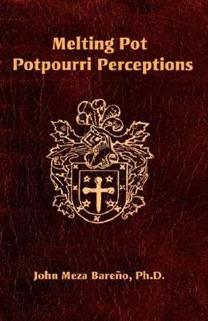 Melting Pot Potpourri Perceptions de John Meza Bareo