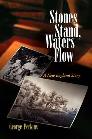 Stones Stand, Waters Flow de George Perkins