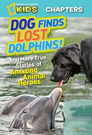 Dog Finds Lost Dolphins!