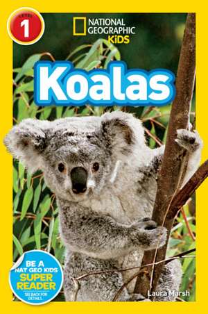 Koalas de Laura Marsh