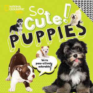 So Cute! Puppies de Crispin Boyer