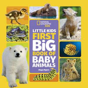 Little Kids First Big Book of Baby Animals de Maya Myers