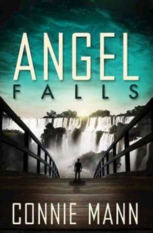 Angel Falls de Connie Mann