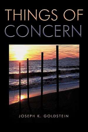 Things of Concern de Joseph K. Goldstein